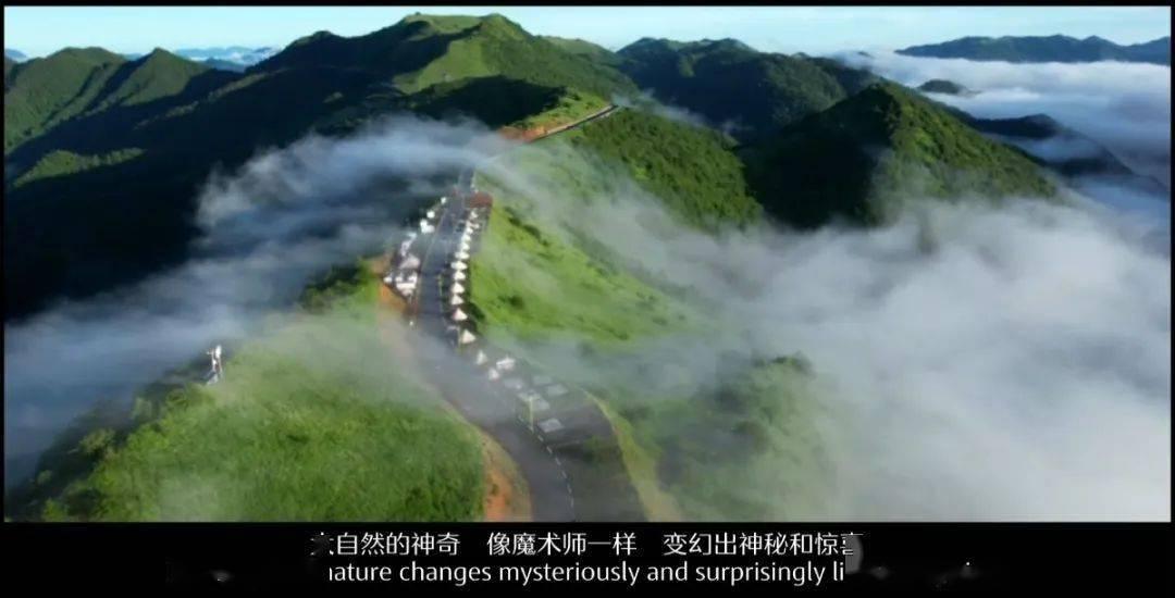 休闲钓鱼
